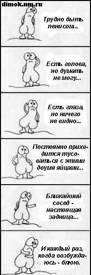 Нажмите для перехода к следующей картинке