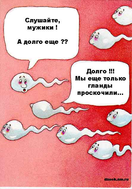 Нажмите для перехода к следующей картинке
