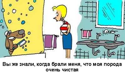 Нажмите для перехода к следующей картинке