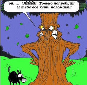 Нажмите для перехода к следующей картинке