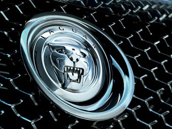  Jaguar
