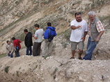          .      Homo erectus,         