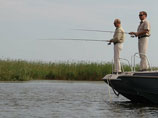 ,   2011         ,     -  -   