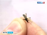      "",     , ,  . -  :    ,    ,    - ,   