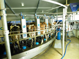  Fonterra ,        