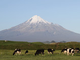      ,         ,  71  Fonterra