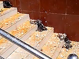   ""     