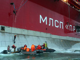  Greenpeace        