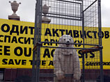   Greenpeace  "-",    " ,  ",         "  ,   "