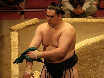  .    japan-sumo.ru