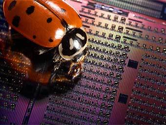     Intel.    fibresystems.org