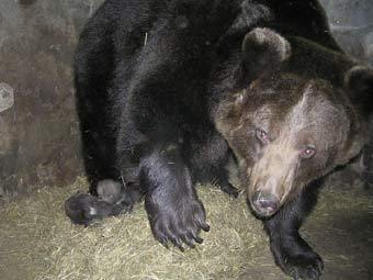     .    zoo.kaliningrad.net