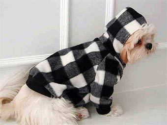    ourpuppiesclothes.com 