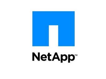  NetApp  