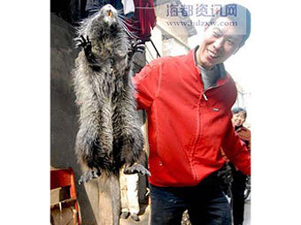    .    news.163.com