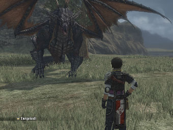 The Last Remnant