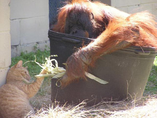   .    ZooWorld 