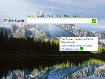  Microsoft Live Search