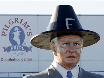   Pilgrim's Pride      