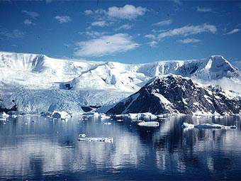 .    marinebio.net