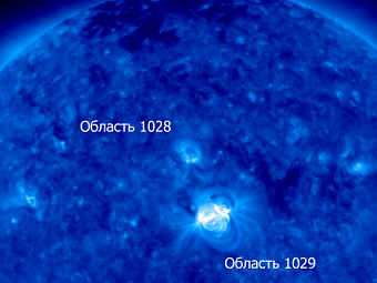  ,    25 .   1028  1029.     