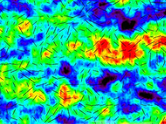    ,  .  Nicolle Rager Fuller, NSF