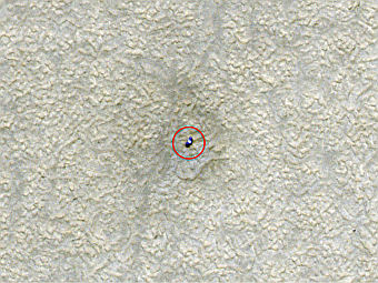   "".  NASA/JPL-Caltech/University of Arizona