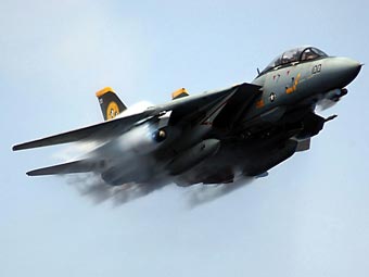 Истребитель F-14. Фото с сайта af.mil