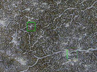  "" ()    ,    ().  NASA/JPL-Caltech/University of Arizona 