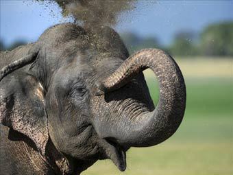     -.  ©AFP