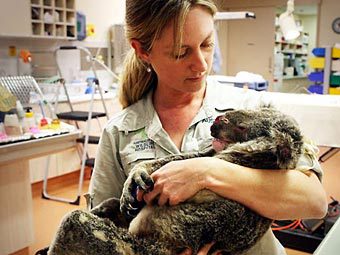    .  Australia Zoo Rescue Unit