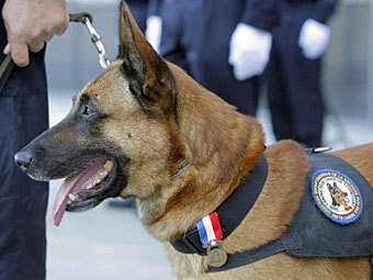 .  ©AFP