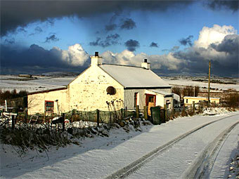  .    visitcoll.co.uk