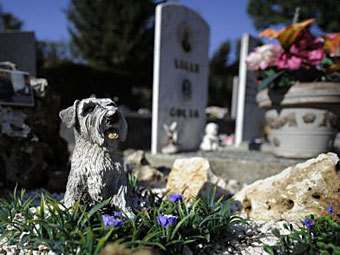   .  ©AFP