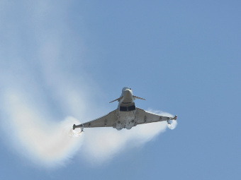 Eurofighter Typhoon.    eurofighter.com