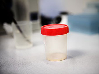    ivf-pgd.com.ua